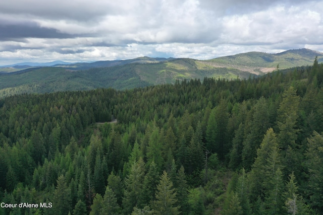371 Upriver View Dr, Fernwood, ID 83830