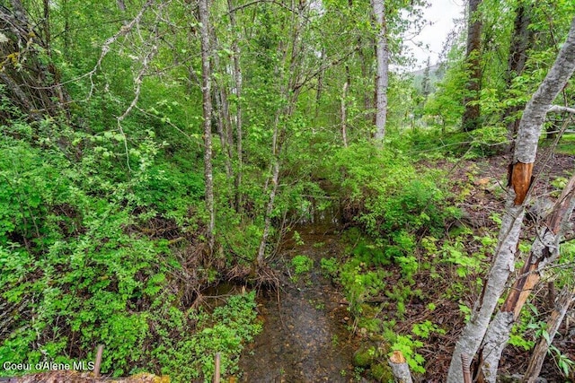 911 French Gulch Rd, Kingston, ID 83839 - view of nature