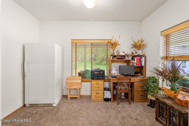 911 French Gulch Rd, Kingston, ID 83839 - view of carpeted office