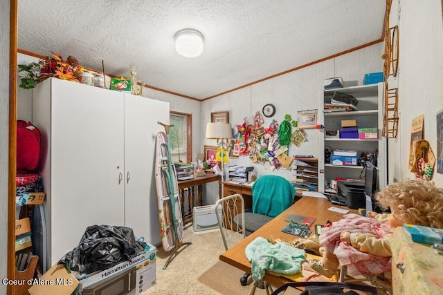 911 French Gulch Rd, Kingston, ID 83839 - office featuring crown molding, a textured ceiling, and carpet
