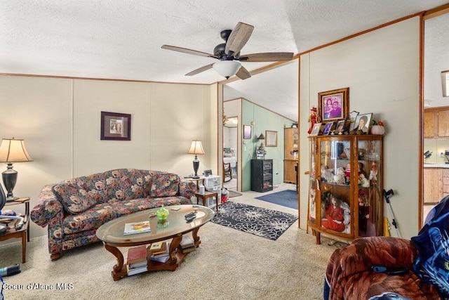 911 French Gulch Rd, Kingston, ID 83839 - living area featuring carpet floors, ceiling fan, a textured ceiling, and ornamental molding