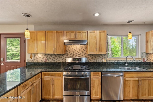 1072 Upland Dr, Sandpoint, ID 83864 - kitchen featuring appliances with stainless steel finishes, a sink, under cabinet range hood, a textured ceiling, and plenty of natural light