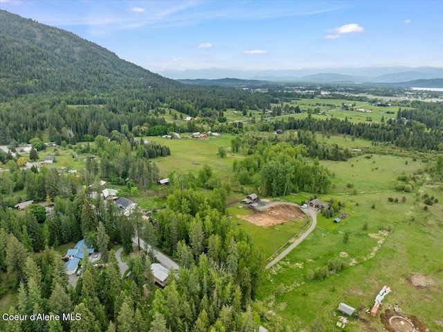 1072 Upland Dr, Sandpoint, ID 83864 - aerial view of property's location with a forest and a mountain backdrop