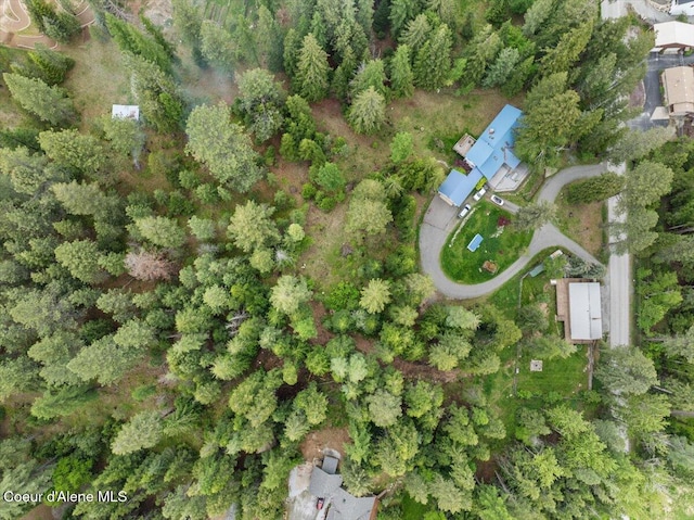 1072 Upland Dr, Sandpoint, ID 83864 - aerial view of property's location