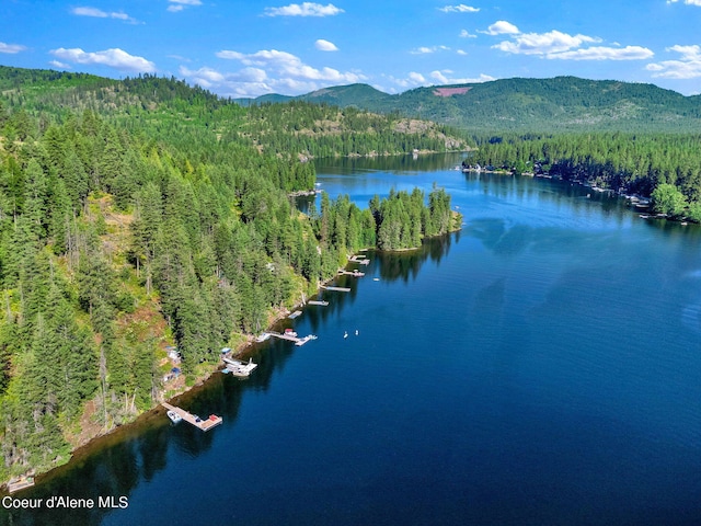 23157 W Lower Twin Lake Shr, Rathdrum, ID 83858