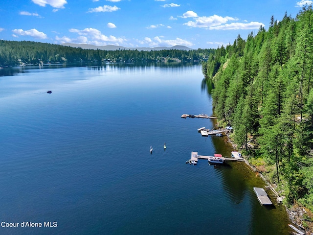 23157 W Lower Twin Lake Shr, Rathdrum, ID 83858