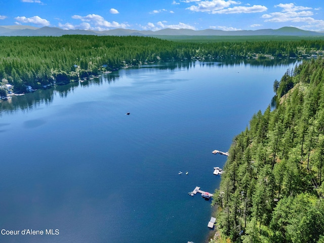 23157 W Lower Twin Lake Shr, Rathdrum, ID 83858
