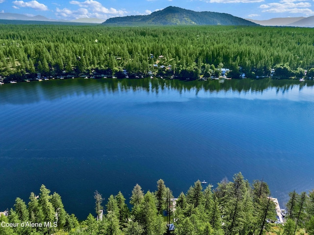 23157 W Lower Twin Lake Shr, Rathdrum, ID 83858