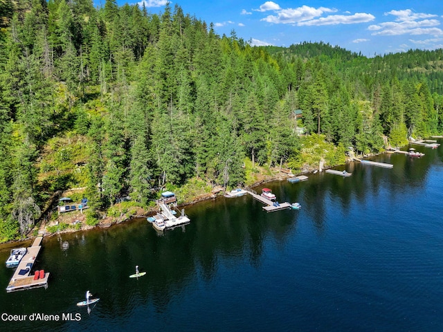 23157 W Lower Twin Lake Shr, Rathdrum, ID 83858
