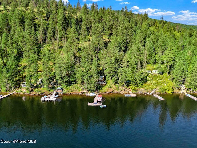 23157 W Lower Twin Lake Shr, Rathdrum, ID 83858