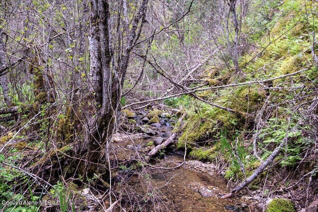 NNA N Corbin Hill Rd, Athol, ID 83801