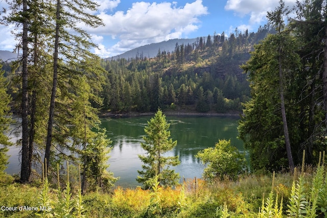 NNA Highway 200, Clark Fork, ID 83811