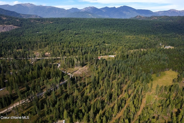 NNA Highway 200, Clark Fork, ID 83811