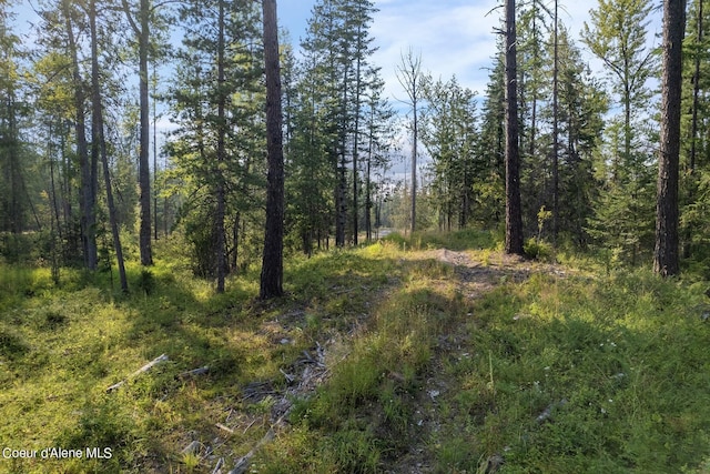 NNA Highway 200, Clark Fork, ID 83811