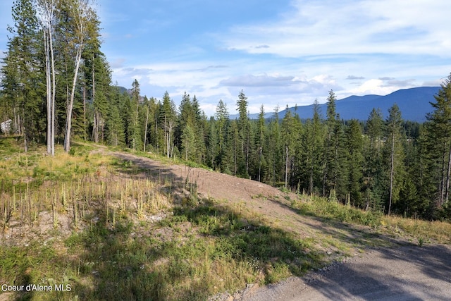 NNA Highway 200, Clark Fork, ID 83811