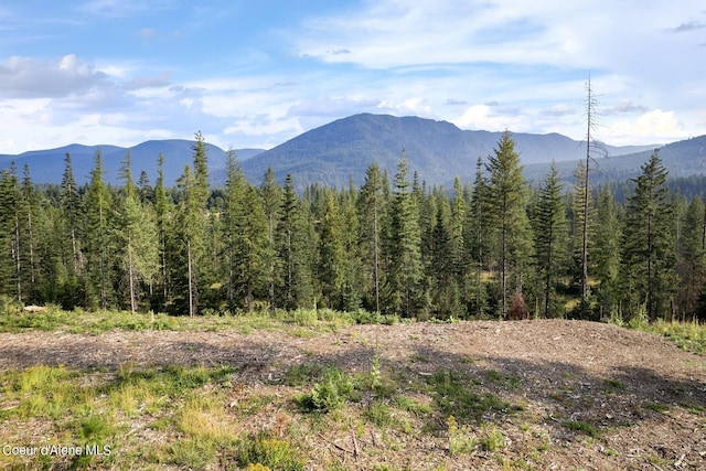 NNA Highway 200, Clark Fork, ID 83811