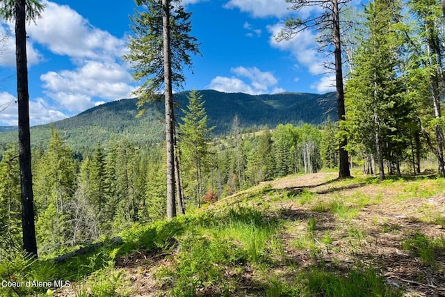 NNA Highway 200, Clark Fork, ID 83811
