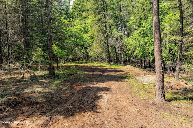 NNA Wood View Rd, Sandpoint, ID 83864