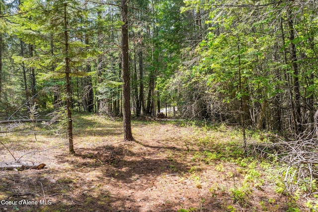 NNA Wood View Rd, Sandpoint, ID 83864