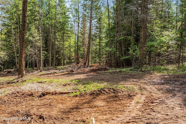 NNA Wood View Rd, Sandpoint, ID 83864