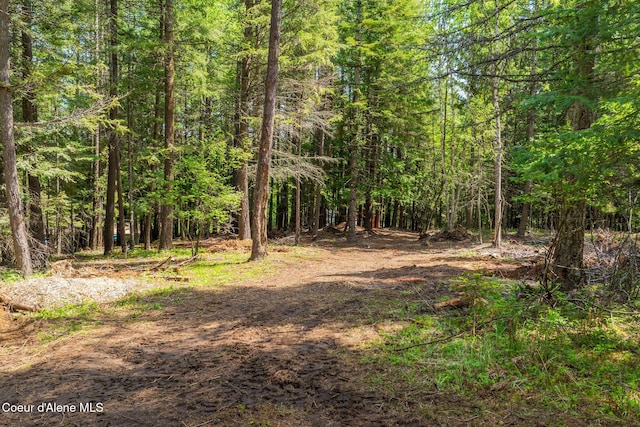 NNA Wood View Rd, Sandpoint, ID 83864