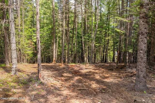 NNA Wood View Rd, Sandpoint, ID 83864