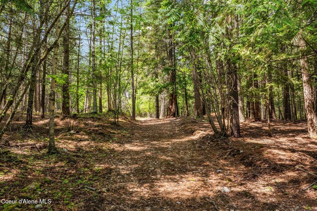 NNA Wood View Rd, Sandpoint, ID 83864