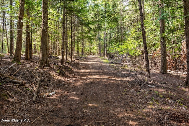 NNA Wood View Rd, Sandpoint, ID 83864