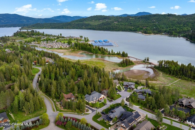 445 W Beach Ct, Dover, ID 83825 - photo 49