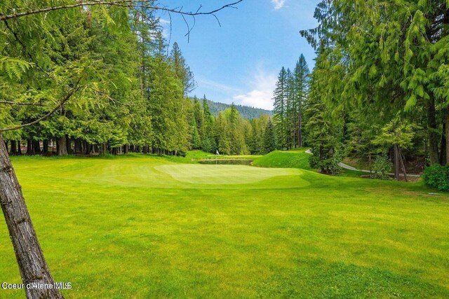 14 Timber Grv, Sandpoint, ID 83864