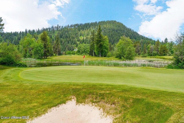 14 Timber Grv, Sandpoint, ID 83864