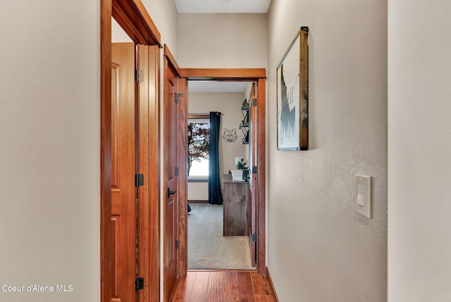 14097 N Pristine Cir, Rathdrum, ID 83858 - hallway with wood finished floors and baseboards