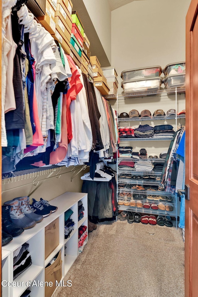 14097 N Pristine Cir, Rathdrum, ID 83858 - walk in closet featuring carpet flooring