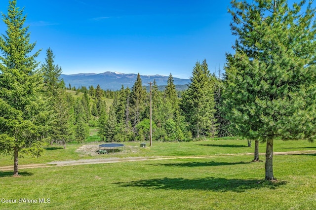 603 Schneiders Rd, Sagle, ID 83860 - view of property's community featuring a mountain view, a yard, and a view of trees