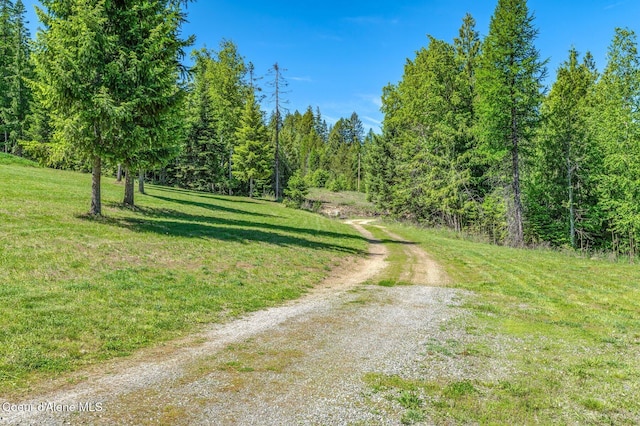 603 Schneiders Rd, Sagle, ID 83860 - view of street with a wooded view