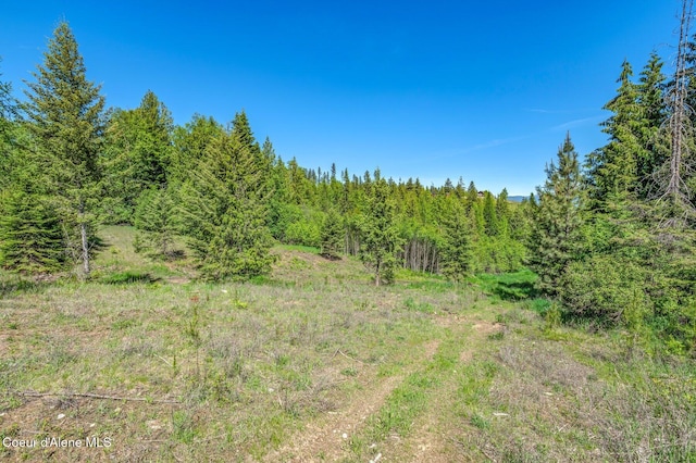 603 Schneiders Rd, Sagle, ID 83860 - view of tree filled area