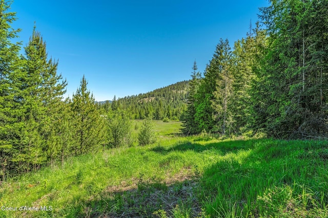 603 Schneiders Rd, Sagle, ID 83860 - view of wooded area