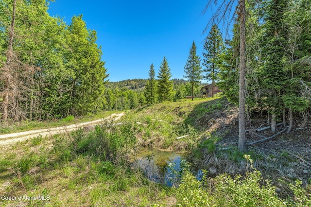 603 Schneiders Rd, Sagle, ID 83860 - view of wooded area