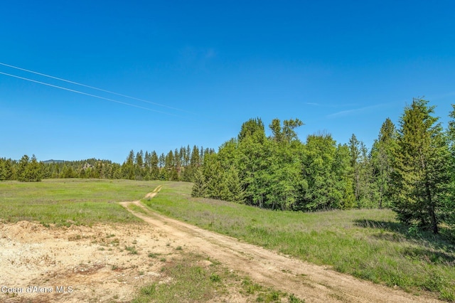603 Schneiders Rd, Sagle, ID 83860 - view of wooded area