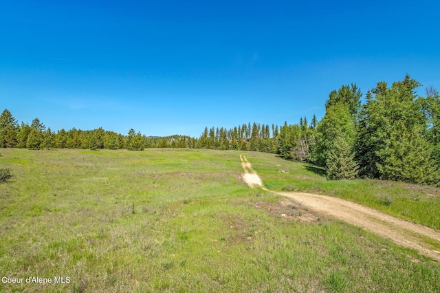 603 Schneiders Rd, Sagle, ID 83860 - view of street featuring a view of trees