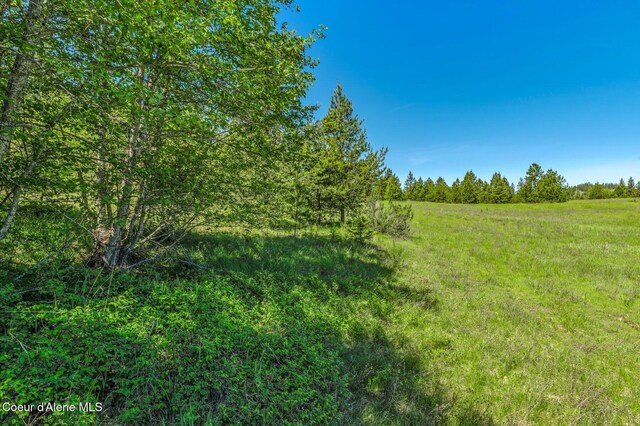 603 Schneiders Rd, Sagle, ID 83860 - view of yard