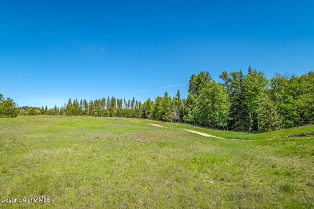 603 Schneiders Rd, Sagle, ID 83860 - view of yard