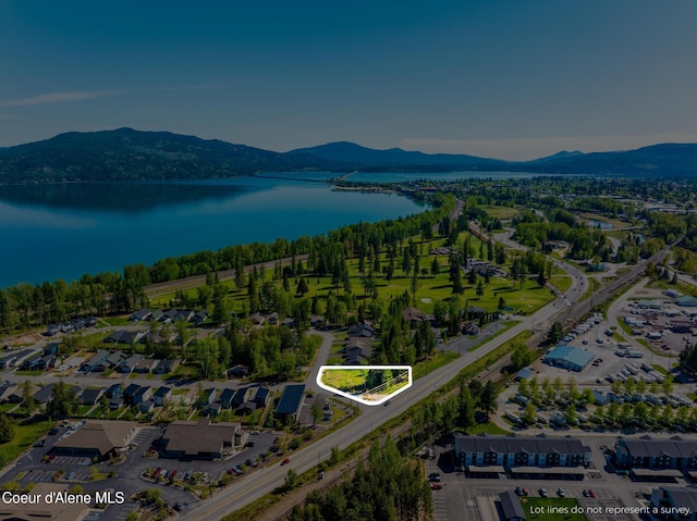 55 Carnelian Ave, Ponderay, ID 83852