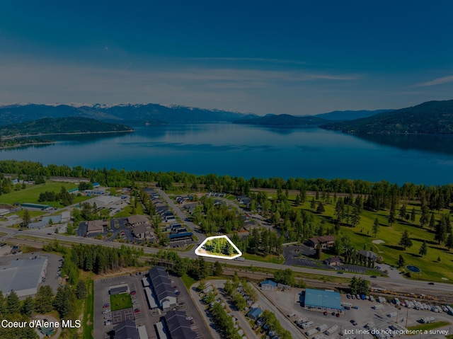 55 Carnelian Ave, Ponderay, ID 83852
