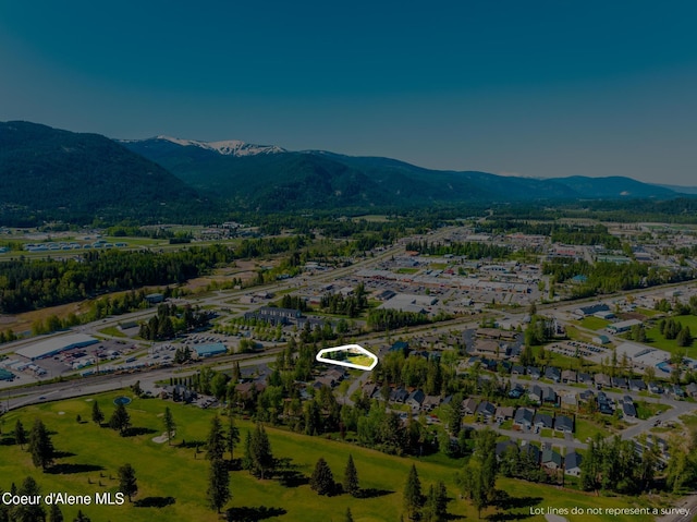 55 Carnelian Ave, Ponderay, ID 83852