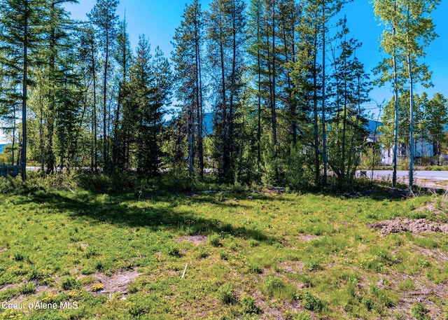 55 Carnelian Ave, Ponderay, ID 83852