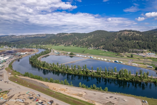 329 N 20th, Saint Maries, ID 83861 - bird's eye view of a water and mountain view and a heavily wooded area