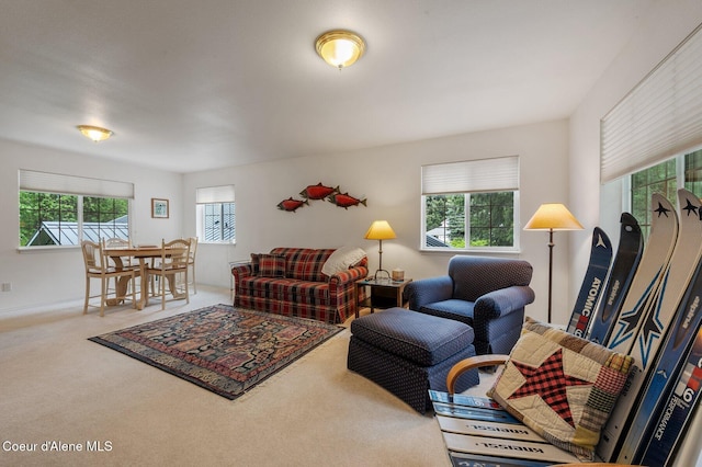 living room with carpet floors