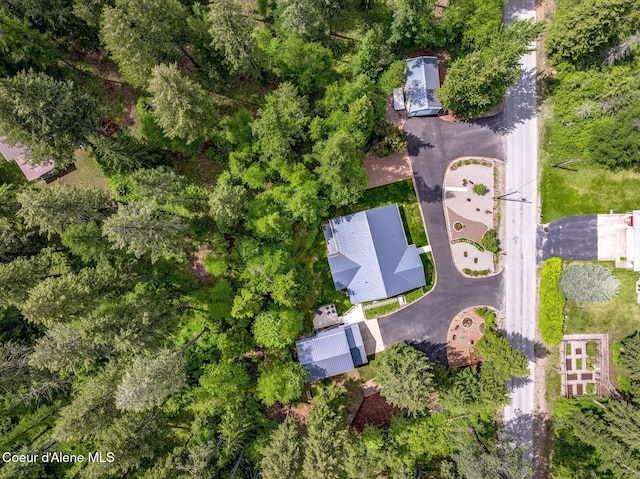drone / aerial view