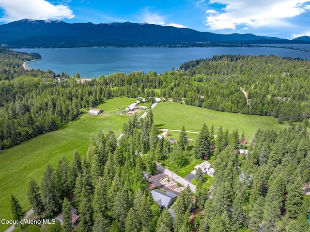 aerial view of property's location with a heavily wooded area and a water and mountain view